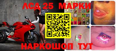 PSILOCYBIN Кунгур